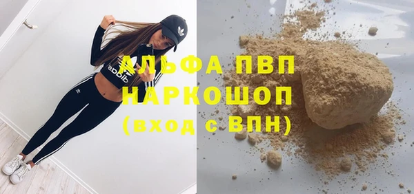 крисы Белокуриха