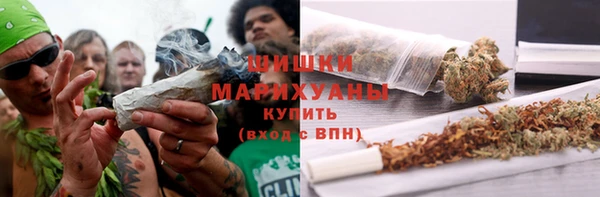 крисы Белокуриха