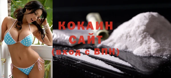 крисы Белокуриха