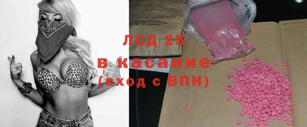сатива Беломорск