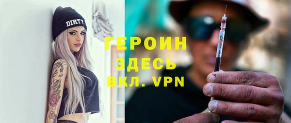 сатива Беломорск