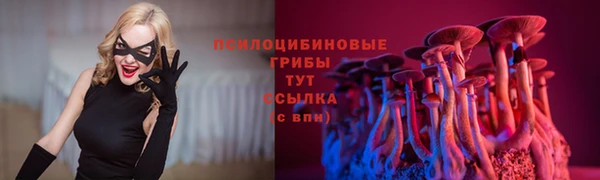 крисы Белокуриха