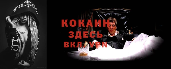 крисы Белокуриха