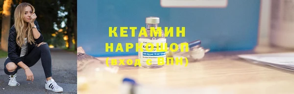 сатива Беломорск