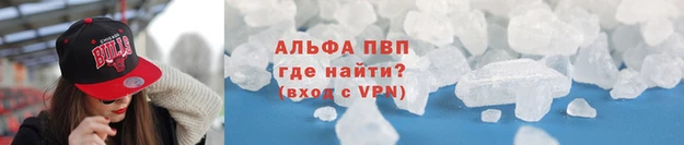 сатива Беломорск
