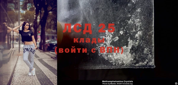 сатива Беломорск