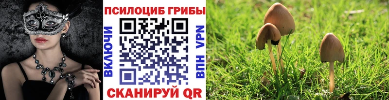 Галлюциногенные грибы GOLDEN TEACHER  закладки  Буйнакск 